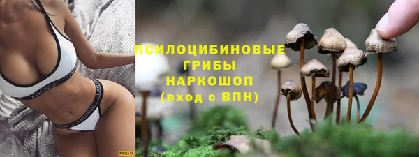 кристаллы Покровск