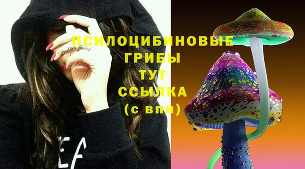 стафф Переславль-Залесский