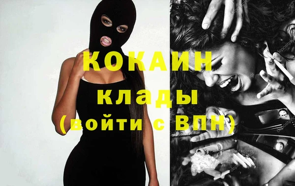 apvp Пересвет