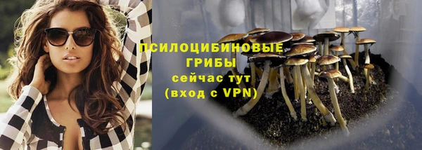 apvp Пересвет