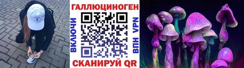 Псилоцибиновые грибы Psilocybine cubensis  Купить где  Грязи 